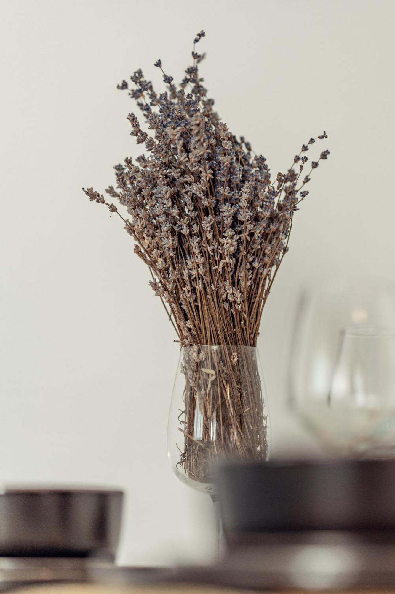 Cozycollection Apartments At Q Residence #6 ياش المظهر الخارجي الصورة